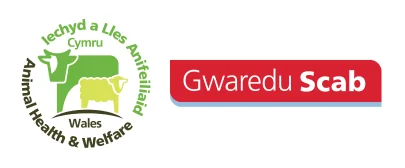 Gwaredu Scab